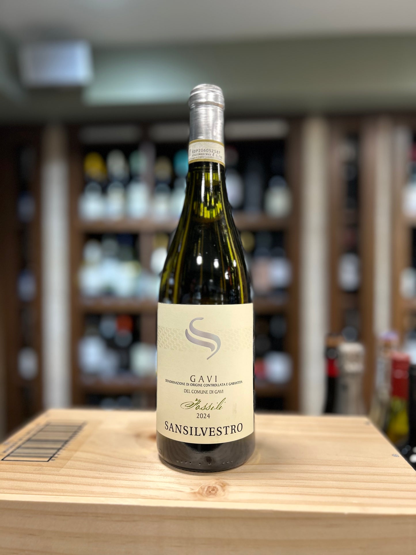 Gavi Hassile Sansilvestro - 2024